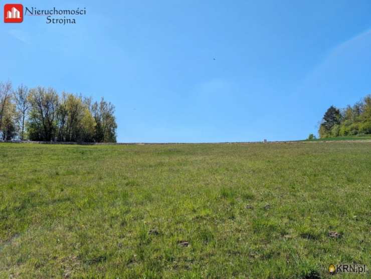 Działki  na sprzedaż, Grajów, ul. , 