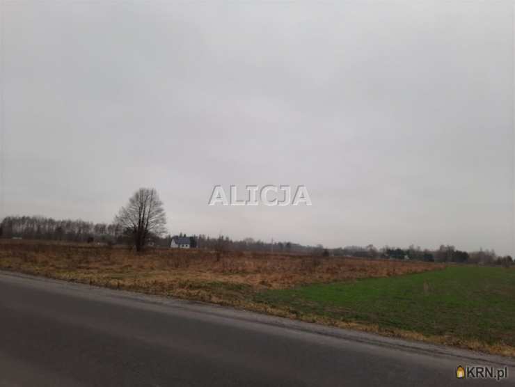 Działki  na sprzedaż, , Holendry Baranowskie, ul. 