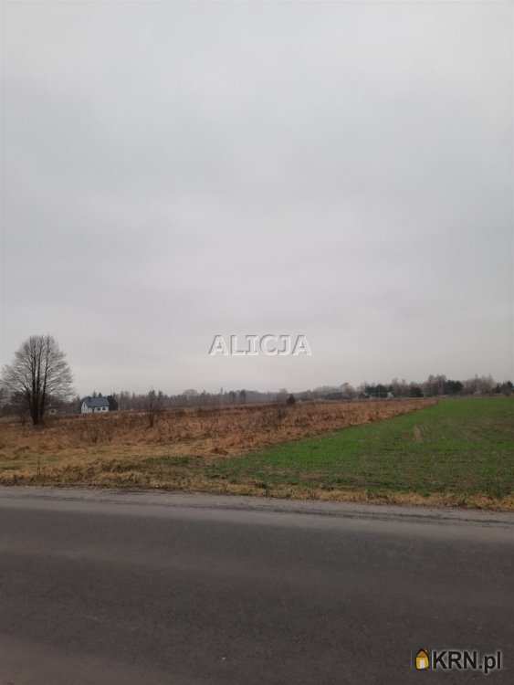 Holendry Baranowskie, ul. , Działki  na sprzedaż, 