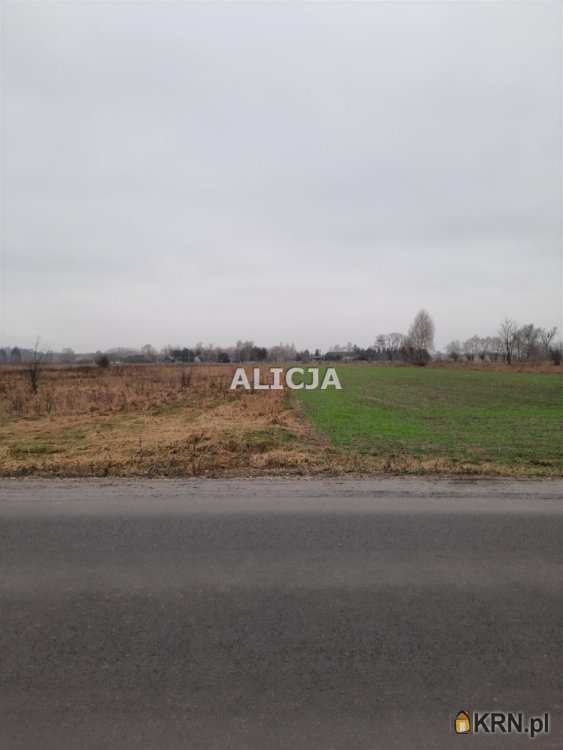 , Holendry Baranowskie, ul. , Działki  na sprzedaż