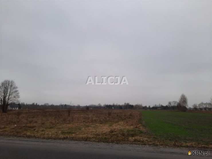 , Działki  na sprzedaż, Holendry Baranowskie, ul. 