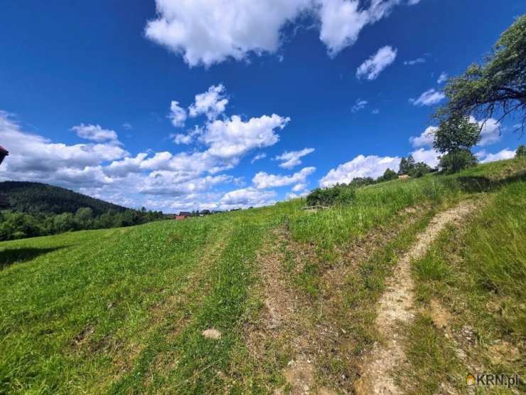 Działki  na sprzedaż, , Poręba Wielka, ul. 