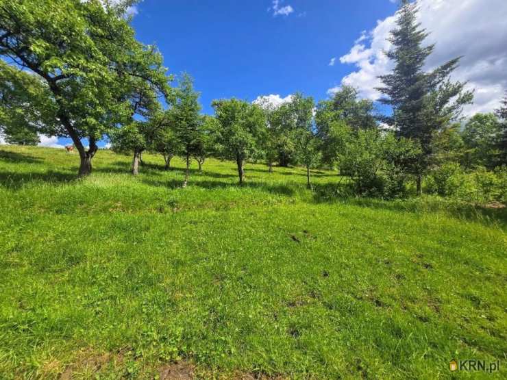 Poręba Wielka, ul. , Działki  na sprzedaż, 