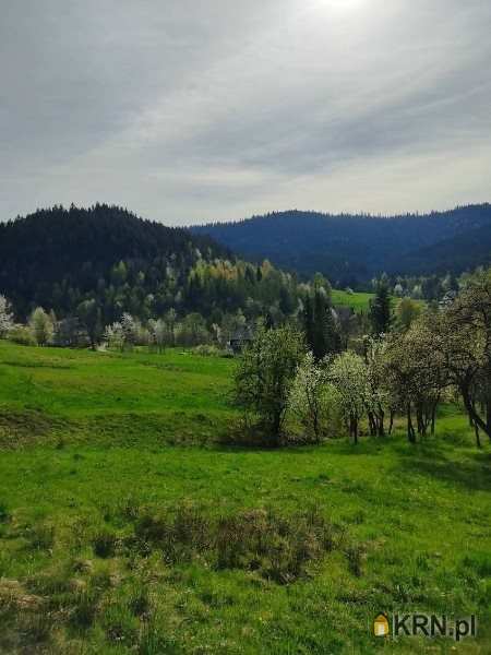 Poręba Wielka, ul. , Działki  na sprzedaż, 