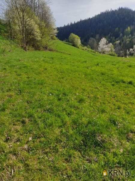 , Poręba Wielka, ul. , Działki  na sprzedaż