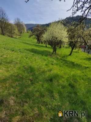 Ewa Szembek Biuro Nieruchomości, Działki  na sprzedaż, Poręba Wielka, ul. 