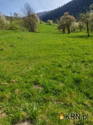 Działki  na sprzedaż, , Poręba Wielka, ul. 