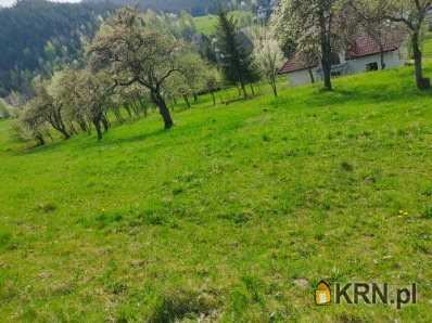 Poręba Wielka, ul. , Działki  na sprzedaż, 