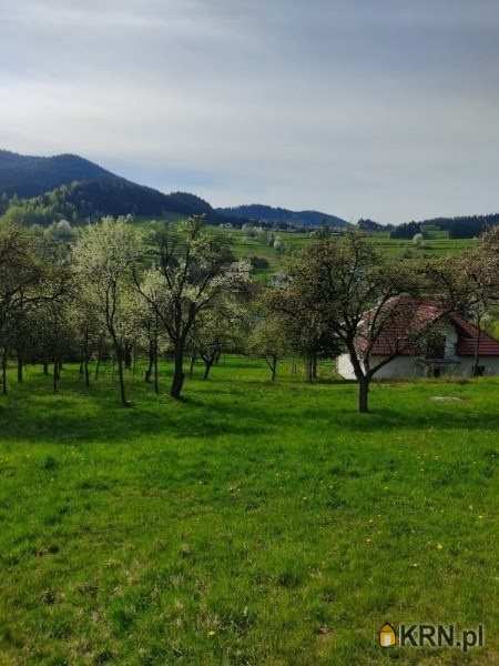 Ewa Szembek Biuro Nieruchomości, Działki  na sprzedaż, Poręba Wielka, ul. 