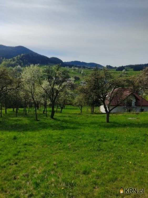 Ewa Szembek Biuro Nieruchomości, Działki  na sprzedaż, Poręba Wielka, ul. 