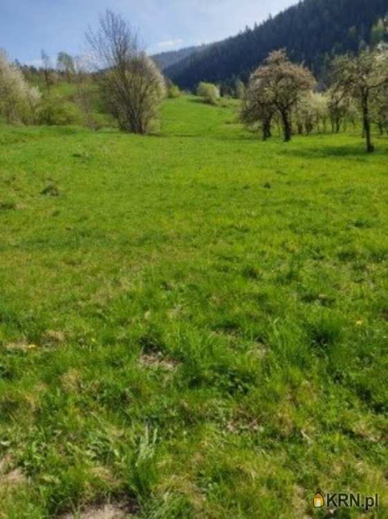 Działki  na sprzedaż, Poręba Wielka, ul. , 