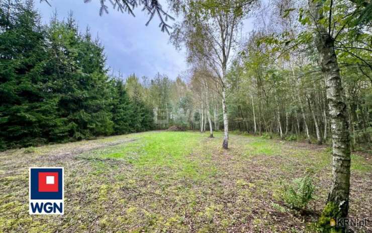 Działki  na sprzedaż, , Pustków, ul. 