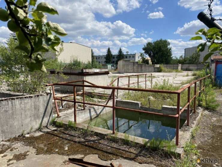 Działki  na sprzedaż, Rogowiec, ul. , 