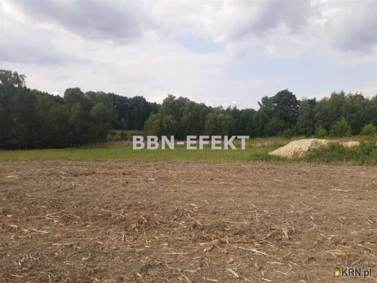 Działki  na sprzedaż, Pisarzowice, ul. , 