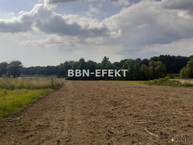 Działki  na sprzedaż, , Pisarzowice, ul. 