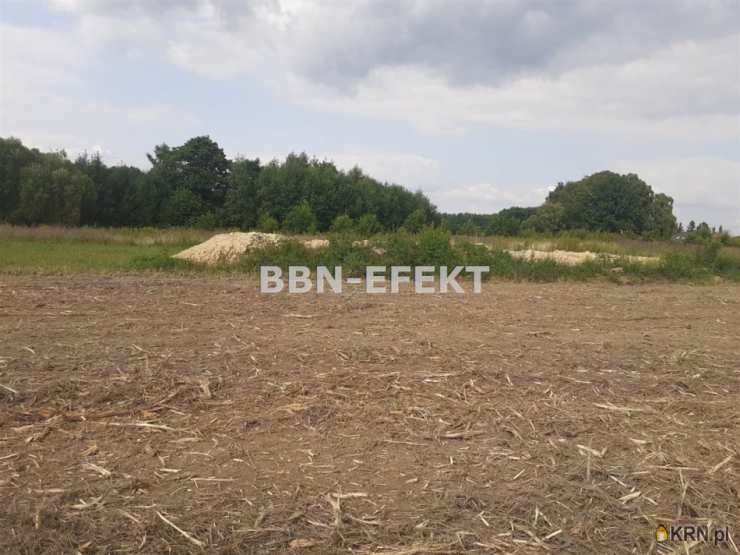 Pisarzowice, ul. , , Działki  na sprzedaż