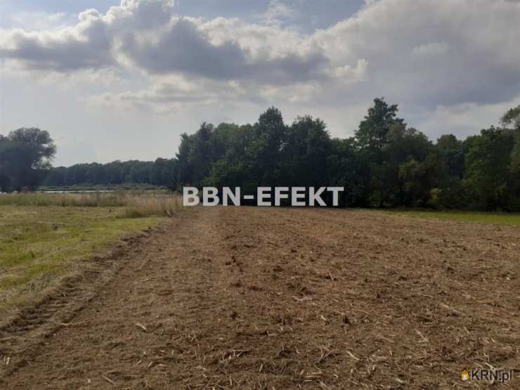 , Pisarzowice, ul. , Działki  na sprzedaż