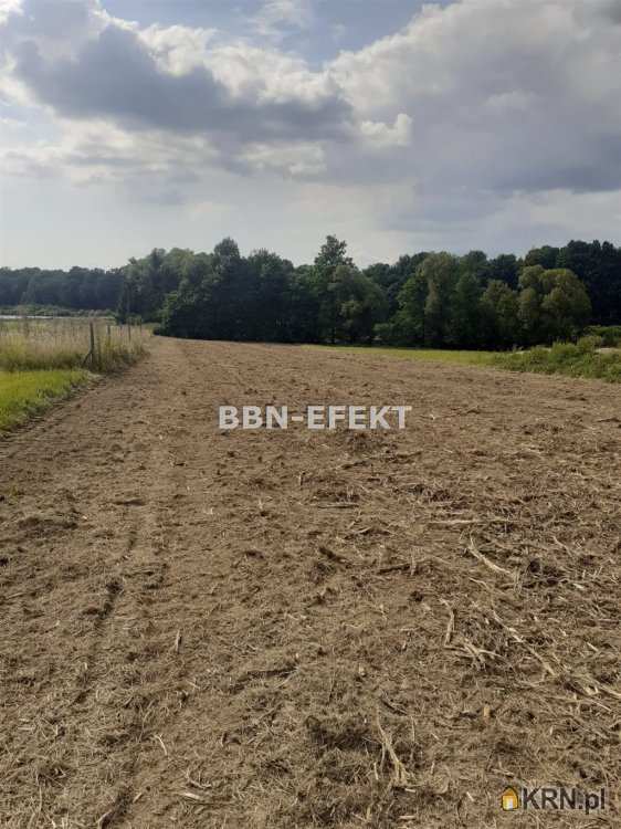 , Działki  na sprzedaż, Pisarzowice, ul. 