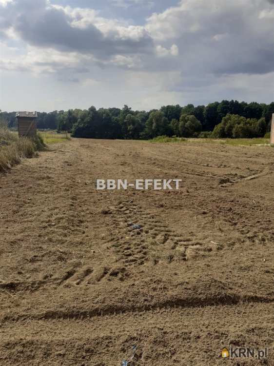 Działki  na sprzedaż, Pisarzowice, ul. , 