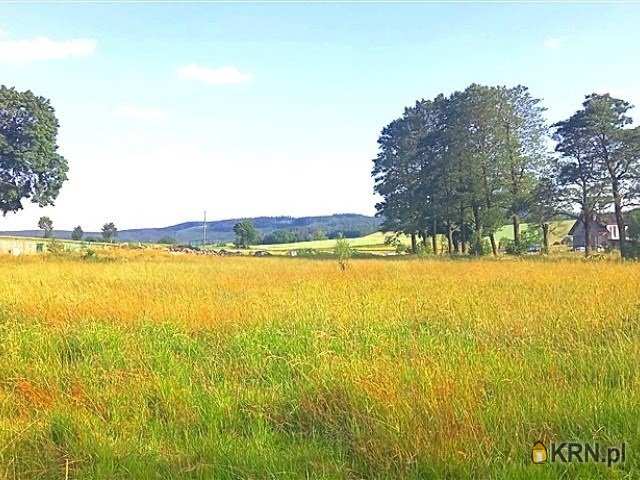 , Działki  na sprzedaż, Gorzeszów, ul. 