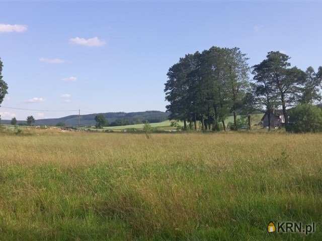 Działki  na sprzedaż, Gorzeszów, ul. , 