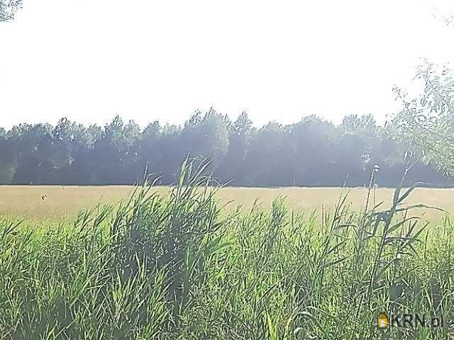 Działki  na sprzedaż, , Gorzeszów, ul. 