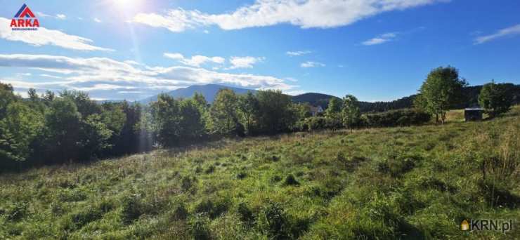 Działki  na sprzedaż, Wola Skrzydlańska, ul. , 