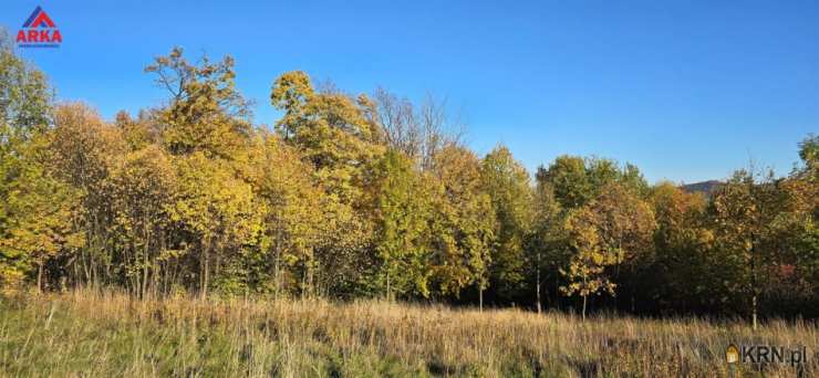 Wola Skrzydlańska, ul. , Działki  na sprzedaż, 