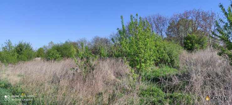 Działki  na sprzedaż, Kępa Okrzewska, ul. , 