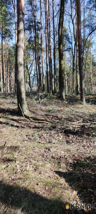 Działki  na sprzedaż, , Warszawa, Bielany, ul. Libawska