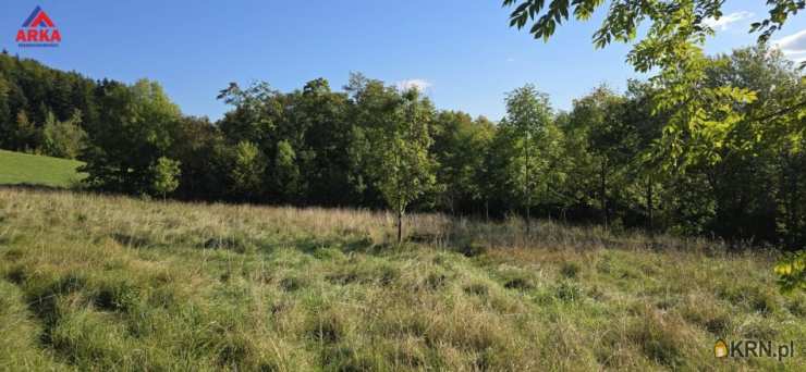 Wola Skrzydlańska, ul. , , Działki  na sprzedaż