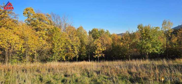 Działki  na sprzedaż, Wola Skrzydlańska, ul. , 