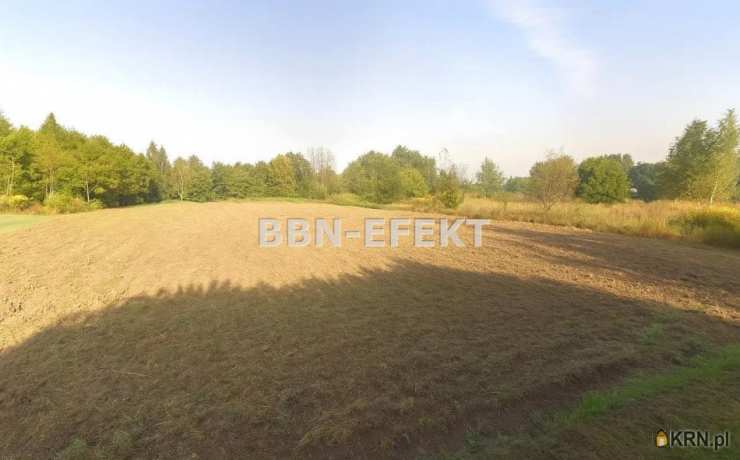 Działki  na sprzedaż, Dankowice, ul. , 