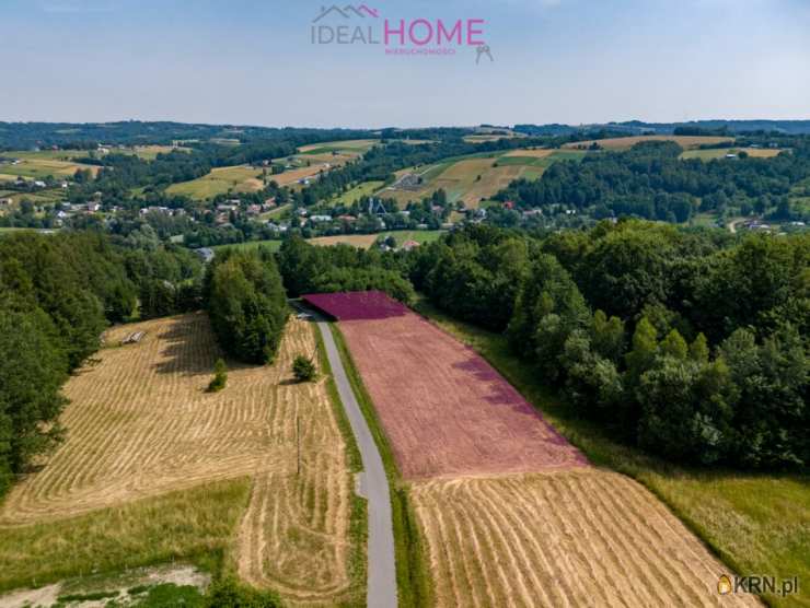  Ideal Home Nieruchomości , Działki  na sprzedaż, Błędowa Tyczyńska, ul. 