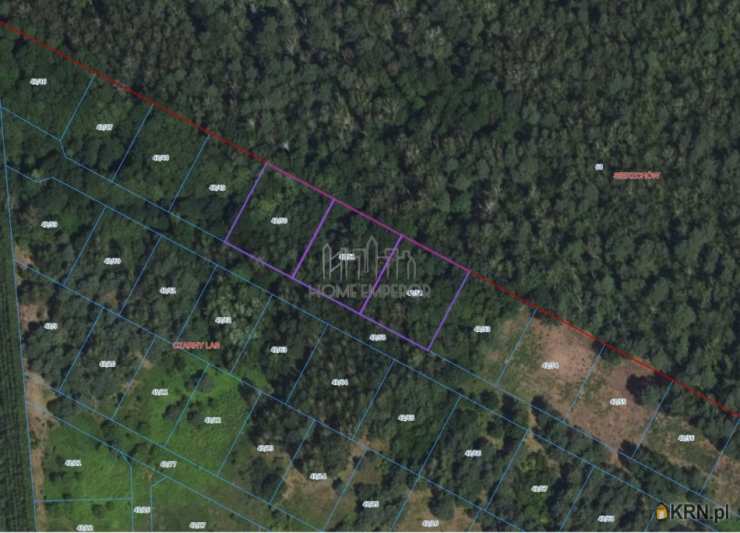 , Czarny Las, ul. , Działki  na sprzedaż