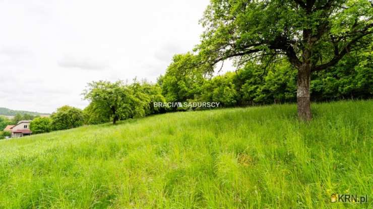 Bracia Sadurscy Oddział BS3 Przewóz, Działki  na sprzedaż, Czerna, ul. 