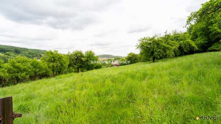 Działki  na sprzedaż, Czerna, ul. , 