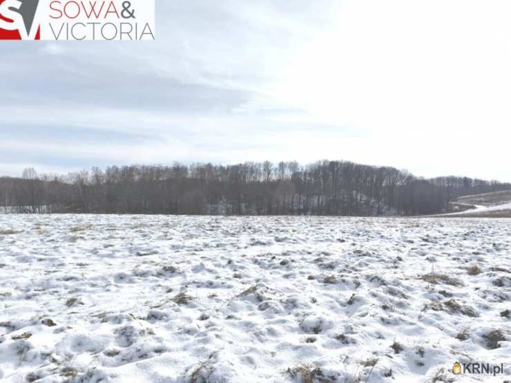 Działki  na sprzedaż, Wałbrzych, Lubiechów, ul. , 