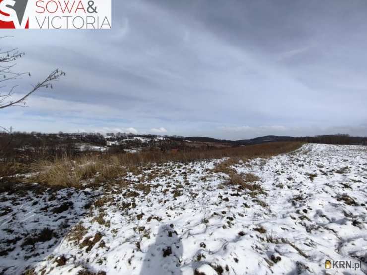 Działki  na sprzedaż, , Wałbrzych, Lubiechów, ul. 