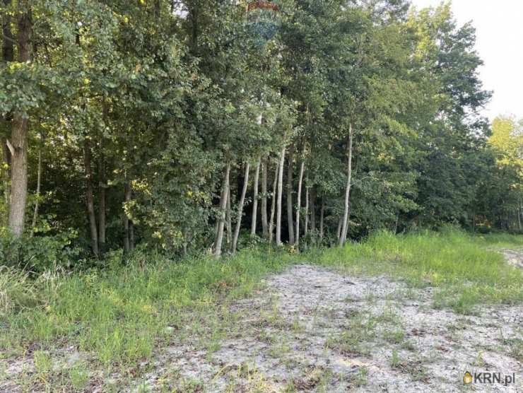 Krzeczów, ul. , , Działki  na sprzedaż