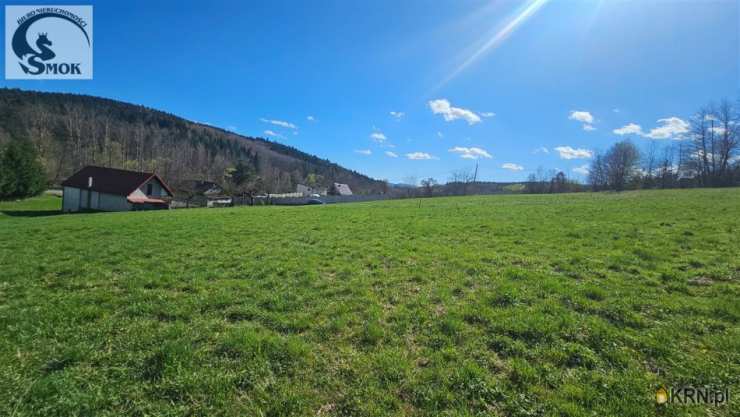 Działki  na sprzedaż, Czasław, ul. , 