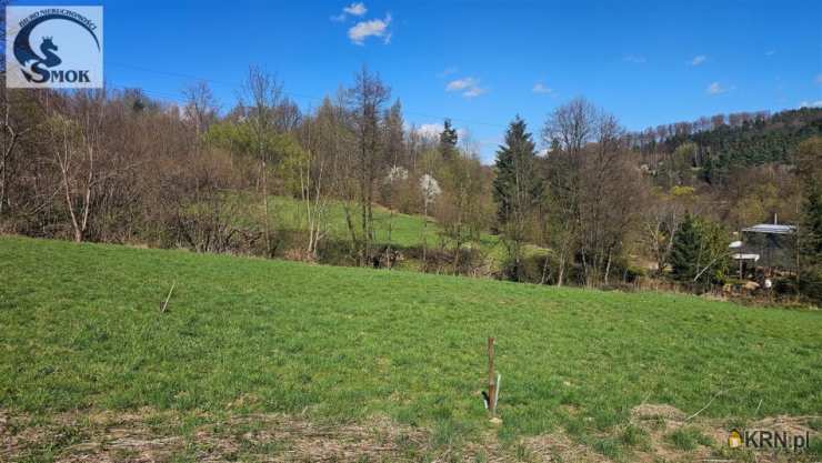 Działki  na sprzedaż, , Czasław, ul. 