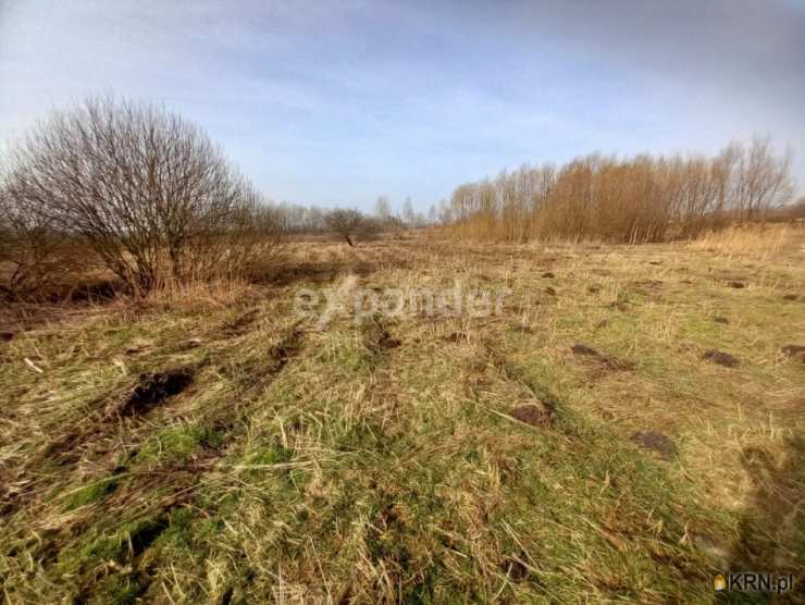 Działki  na sprzedaż, Niegowoniczki, ul. , 