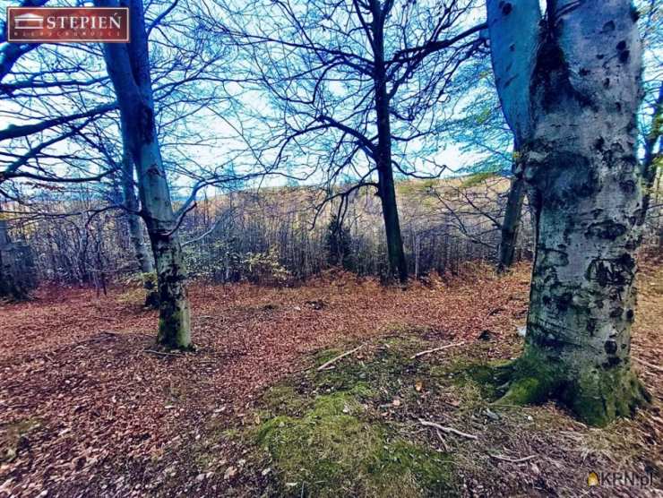 Działki  na sprzedaż, , Świeradów-Zdrój, ul. 