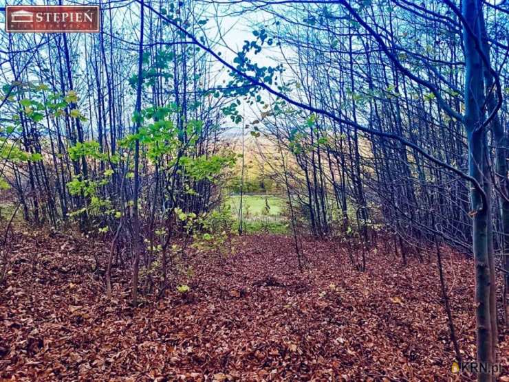 Świeradów-Zdrój, ul. , , Działki  na sprzedaż