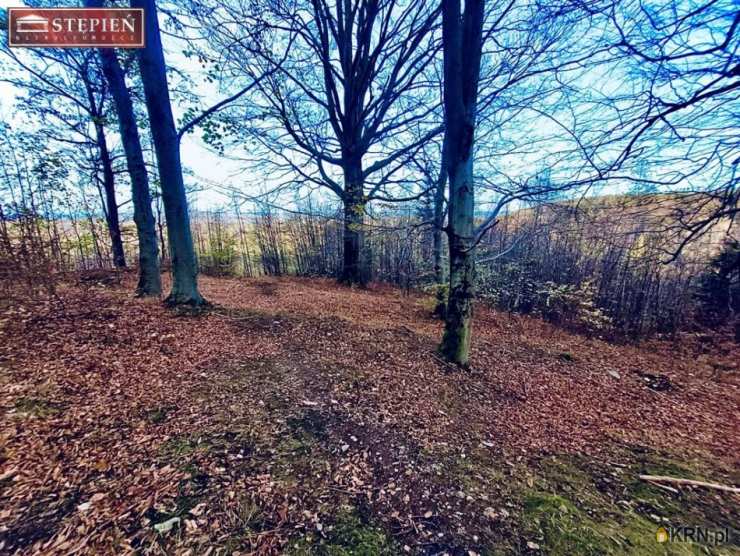 , Działki  na sprzedaż, Świeradów-Zdrój, ul. 