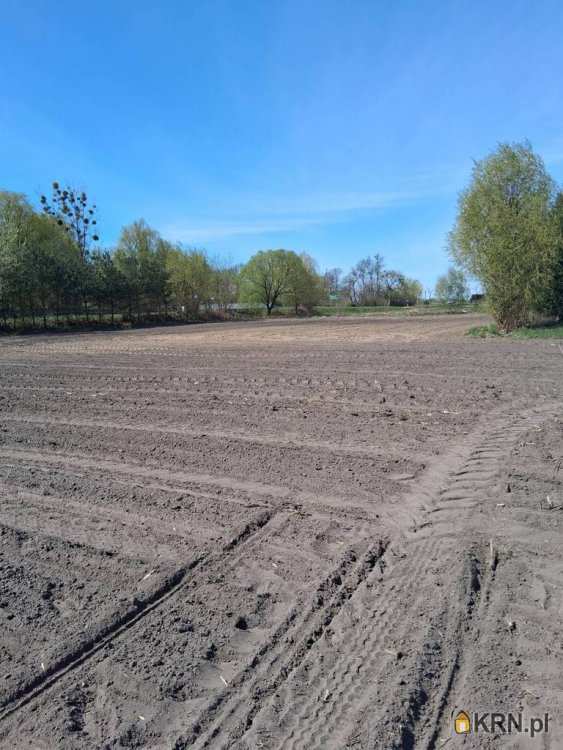 Miedniewice, ul. , Działki  na sprzedaż, 