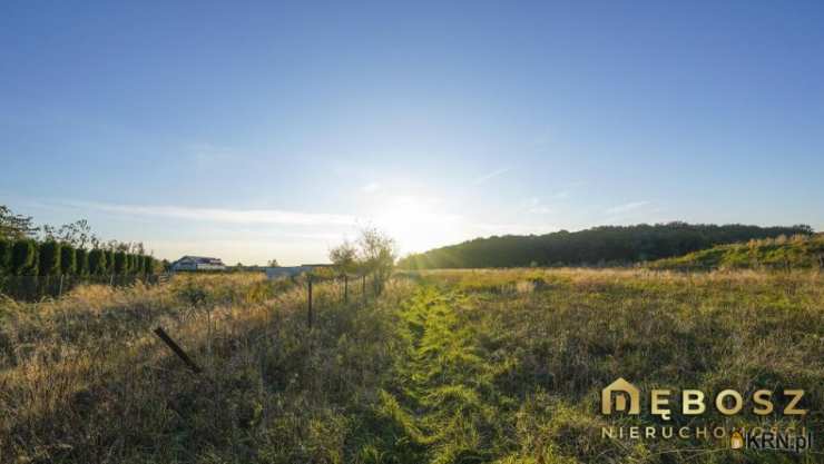 DĘBOSZ Nieruchomości, Działki  na sprzedaż, Proszówki, ul. 