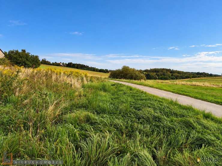 Działki  na sprzedaż, Sąspów, ul. , 