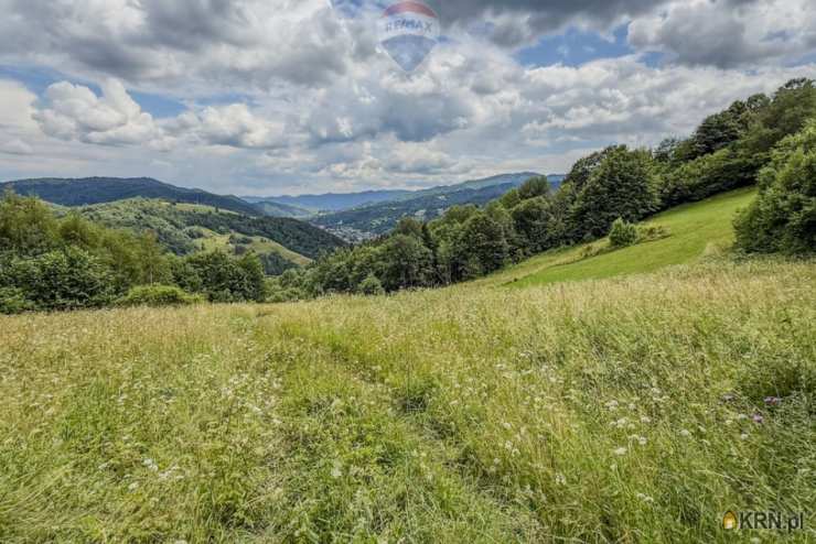 Działki  na sprzedaż, Ochotnica Dolna, ul. , 